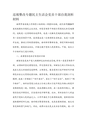 巡视整改专题民主生活会党员干部自我剖析材料.docx