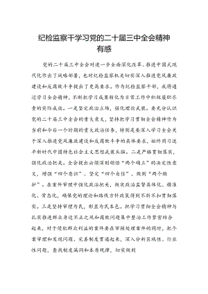 纪检监察干学习党的二十届三中全会精神有感.docx