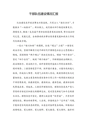 干部队伍建设情况汇报.docx