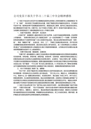 公司党员干部关于学习二十届三中全会精神感悟.docx