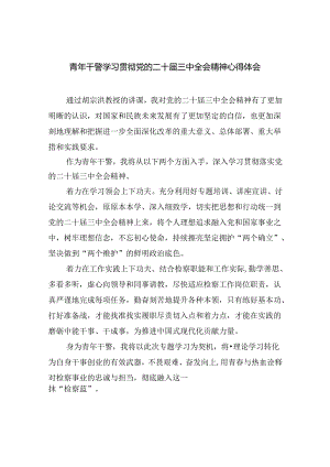 青年干警学习贯彻党的二十届三中全会精神心得体会四篇专题资料.docx