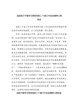 法院执行干警学习贯彻党的二十届三中全会精神心得体会8篇（精选版）.docx