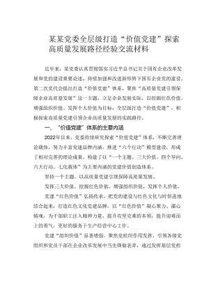 某某党委全层级打造“价值党建”探索高质量发展路径经验交流材料.docx