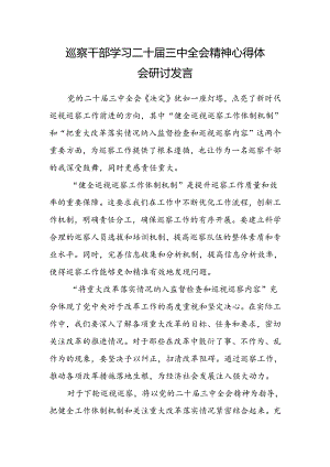 巡察干部学习二十届三中全会精神心得体会研讨发言.docx