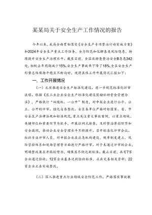 某某局关于安全生产工作情况的报告.docx
