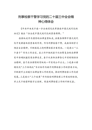 刑事检察干警学习党的二十届三中全会精神心得体会.docx