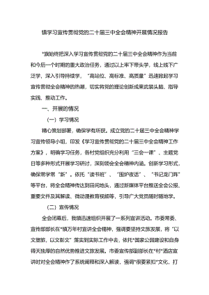 2024-2025年乡镇学习宣传贯彻党的二十届三中全会精神开展情况报告.docx