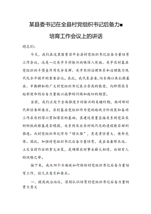 某县委书记在全县村党组织书记后备力量培育工作会议上的讲话1.docx