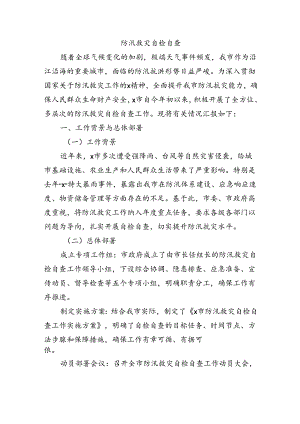 防汛救灾自检自查.docx