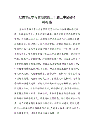 纪委书记学习贯彻党的二十届三中全会精神有感.docx