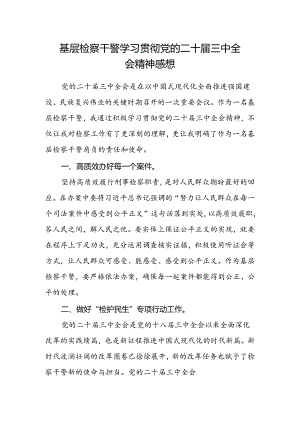 基层检察干警学习贯彻党的二十届三中全会精神心得体会范文.docx