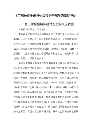 社工部长在全市县处级领导干部学习贯彻党的二十届三中全会精神研讨班上的交流发言.docx