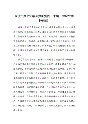 乡镇纪委书记学习贯彻党的二十届三中全会精神有感.docx