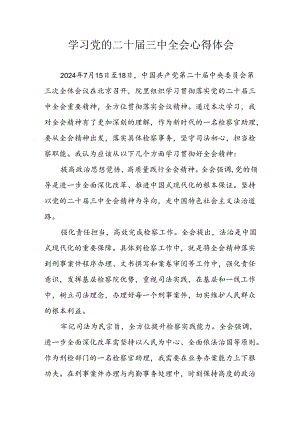 学习2024年学习党的二十届三中全会个人心得感悟 （3份）_87.docx