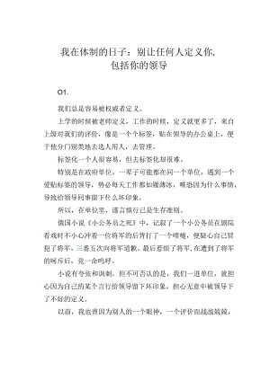 我在体制的日子：别让任何人定义你包括你的领导.docx