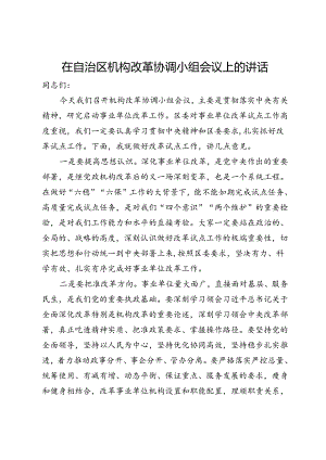在自治区机构改革协调小组会议上的讲话.docx