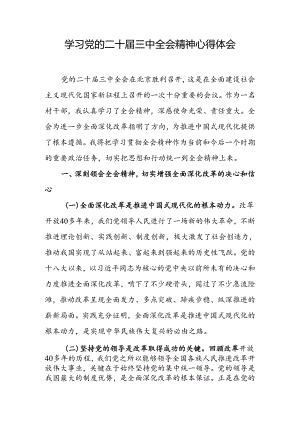 学习二十届三中全会学习心得体会.docx