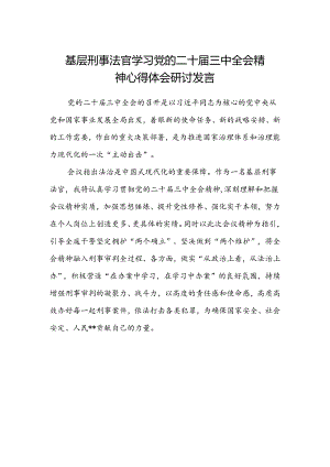 基层刑事法官学习党的二十届三中全会精神心得体会研讨发言.docx