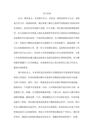 实习总结4000字.docx