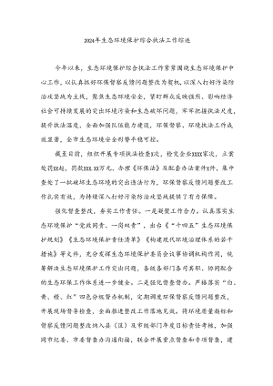 2024年生态环境保护综合执法工作综述.docx
