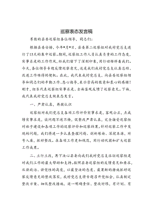 巡察表态发言稿.docx