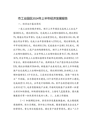 市工业园区2024年上半年经济发展报告.docx