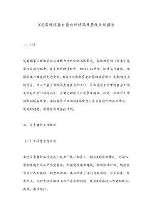 X局常规巡查自查自纠情况及整改计划报告.docx