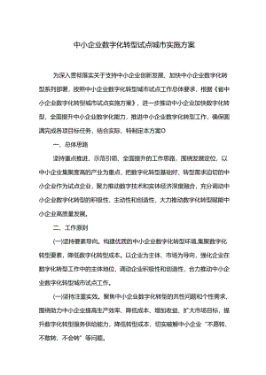 中小企业数字化转型试点城市实施方案.docx