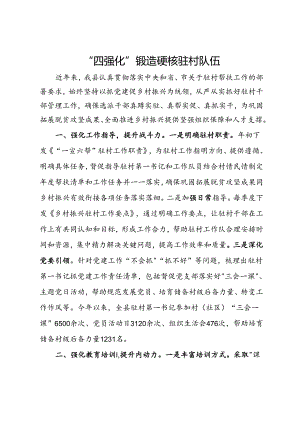 经验做法：“四强化”锻造硬核驻村队伍.docx