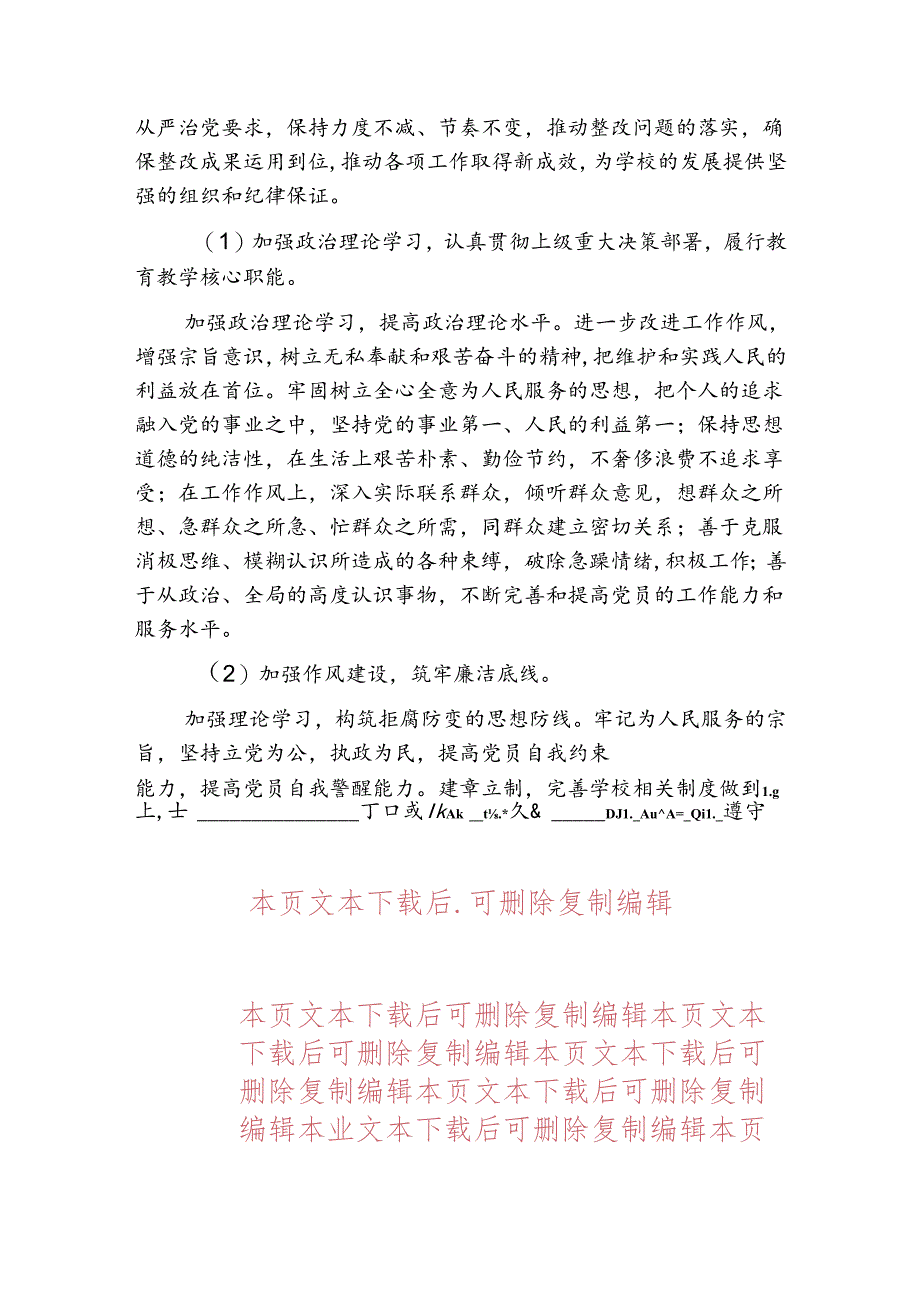 1.学校党建工作计划（最新版）.docx_第3页