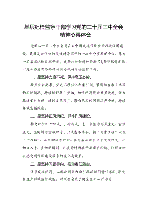 基层纪检监察干部学习党的二十届三中全会精神心得体会.docx