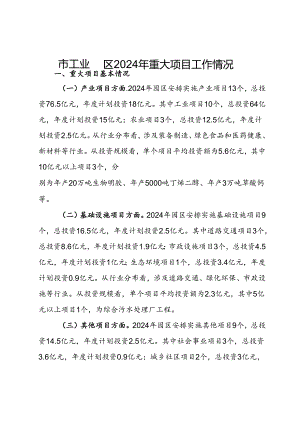 市工业园区2024年重大项目工作情况报告.docx