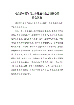 村支部书记学习二十届三中全会精神心得体会发言.docx
