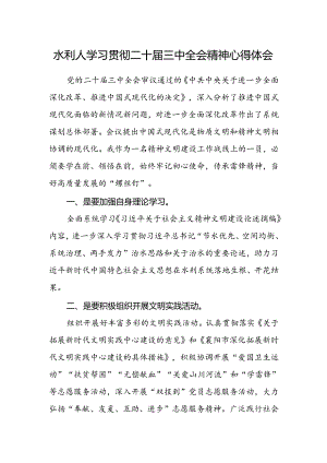 水利人学习贯彻二十届三中全会精神心得体会.docx