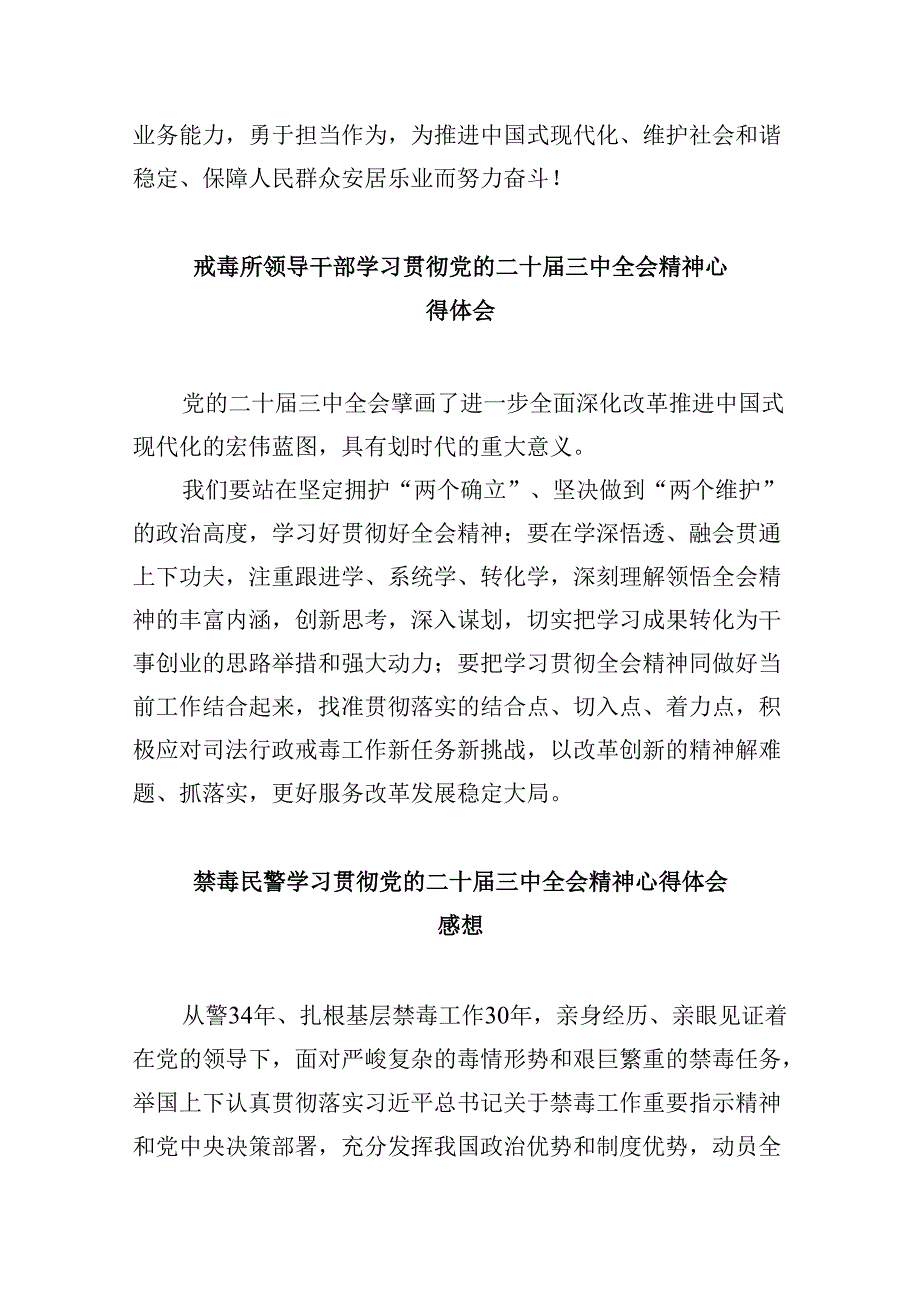 （11篇）禁毒民警学习贯彻党的二十届三中全会精神心得体会（精选）.docx_第3页