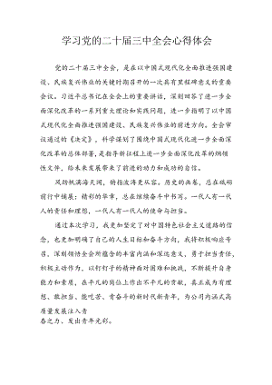 学习2024年学习党的二十届三中全会个人心得体会 （3份）.docx