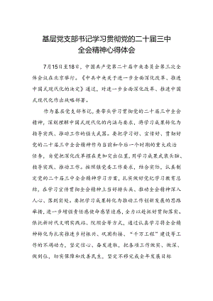 基层党支部书记学习贯彻党的二十届三中全会精神心得体会.docx