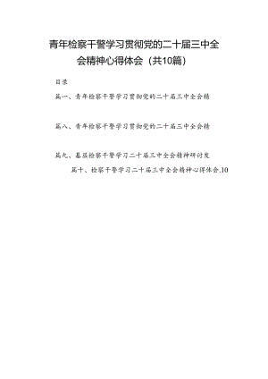 （10篇）青年检察干警学习贯彻党的二十届三中全会精神心得体会样本.docx