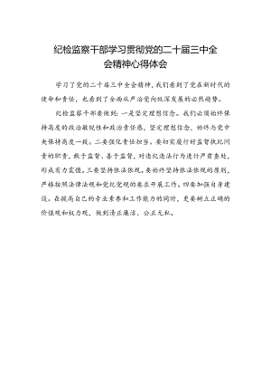 纪检监察干部学习贯彻党的二十届三中全会精神心得体会.docx