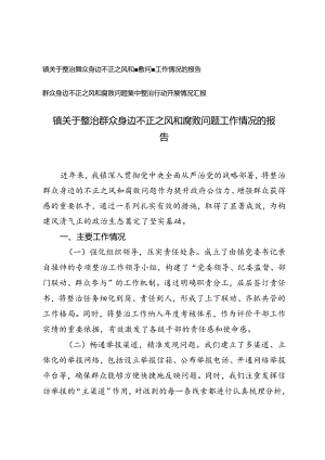 2024年关于整治群众身边不正之风和腐败问题工作情况的报告汇报.docx