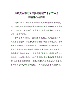 乡镇党委书记学习贯彻党的二十届三中全会精神心得体会.docx