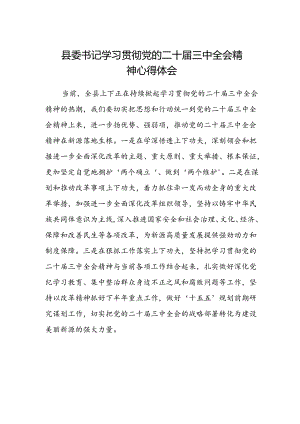 县委书记学习贯彻党的二十届三中全会精神心得体会.docx