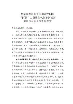 某某省委社会工作部在2024年“两新”工委体制机制革新创新调研座谈会上的汇报发言.docx