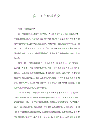 实习工作总结范文.docx