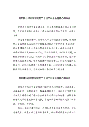 青年执业律师学习党的二十届三中全会精神心得体会8篇（精选）.docx