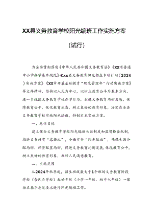 XX县义务教育学校阳光编班工作实施方案.docx