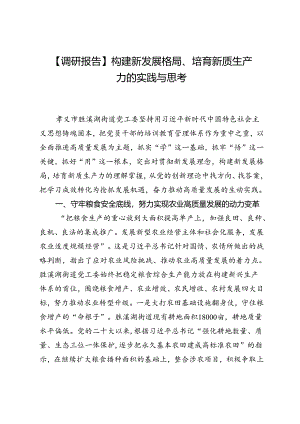 【调研报告】构建新发展格局、培育新质生产力的实践与思考.docx