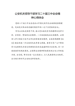 公安机关领导干部学习二十届三中全会精神心得体会.docx