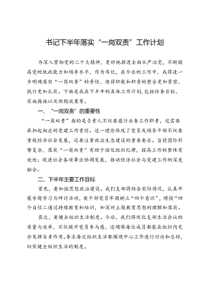 书记下半年落实“一岗双责”工作计划.docx