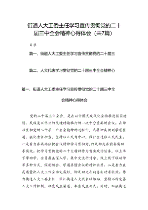 街道人大工委主任学习宣传贯彻党的二十届三中全会精神心得体会7篇（精选版）.docx